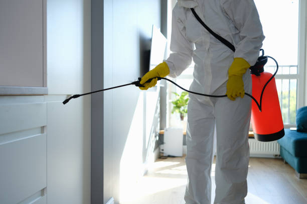 Best Commercial Mold Removal  in Mooreland, OK