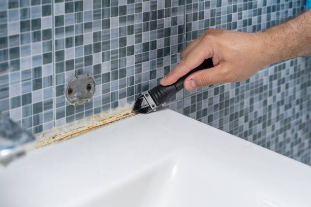 Best Best Mold Removal Companies  in Mooreland, OK