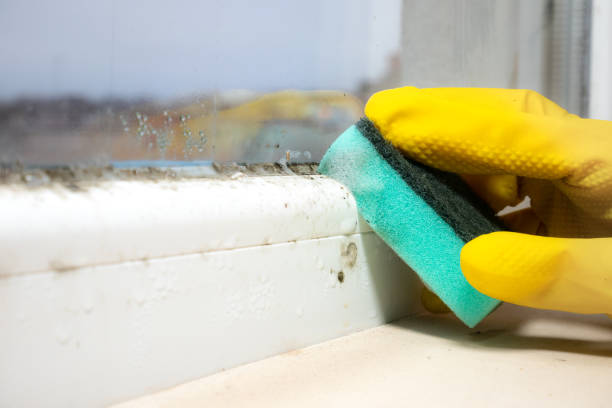 Best Mold Testing  in Mooreland, OK
