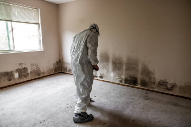 Best Professional Mold Removal  in Mooreland, OK
