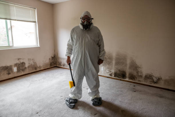 Best Emergency Mold Removal  in Mooreland, OK
