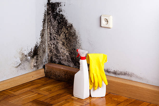 Crawl Space Mold Removal in Mooreland, OK