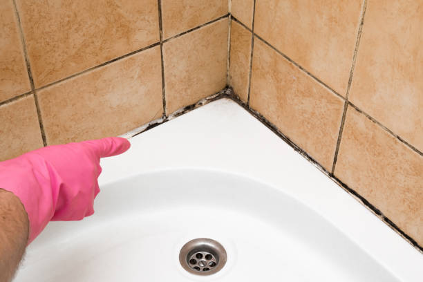 Best Residential Mold Removal  in Mooreland, OK